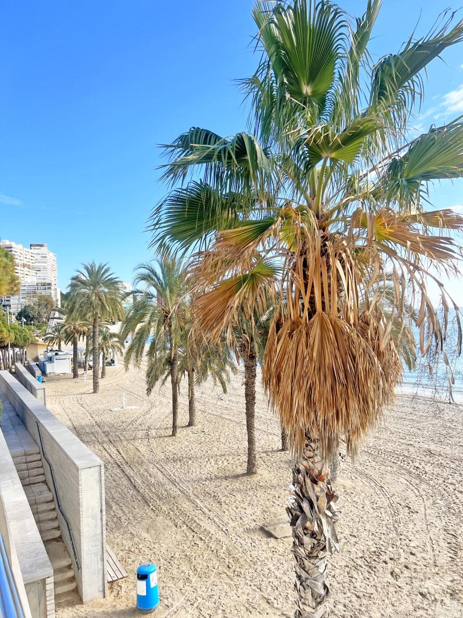 A 100 Metros De La Playa. Parking Gratuito Privado Appartement Alicante Buitenkant foto